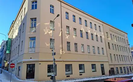 Pronájem obchodních prostor 357 m²