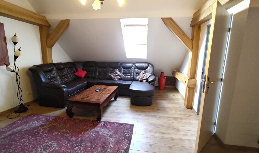 Pronájem bytu 4+kk 102 m², Plzeň – náhled fotky 4