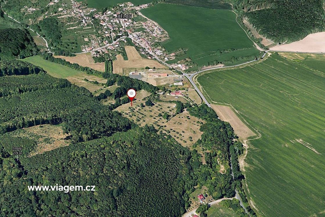 Prodej pole 2 501 m² – fotografie 2