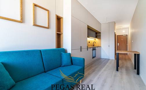 Pronájem bytu 1+kk 23 m², Dornych, Brno - Komárov