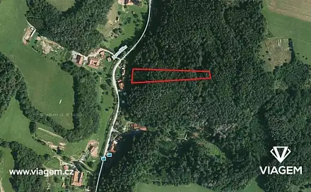 Prodej lesa 2 703 m², Letovice, okres Blansko