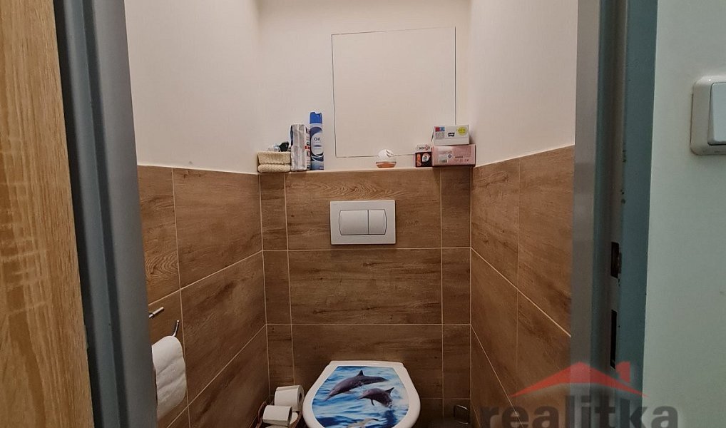 Prodej bytu 4+1 98 m², Opava – náhled fotky 16