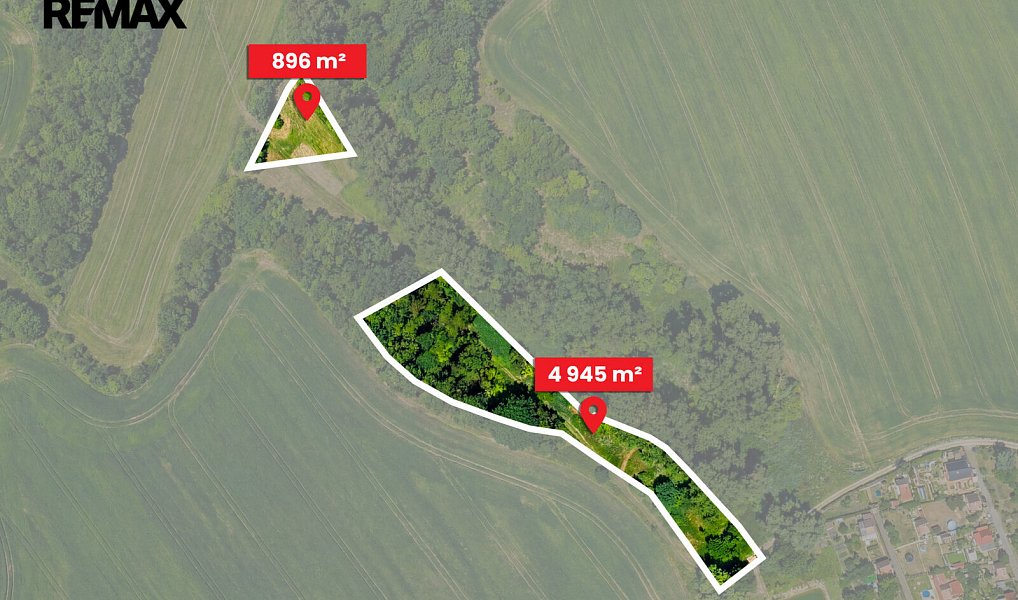 Prodej lesa 5 841 m², Skršín – náhled fotky 2