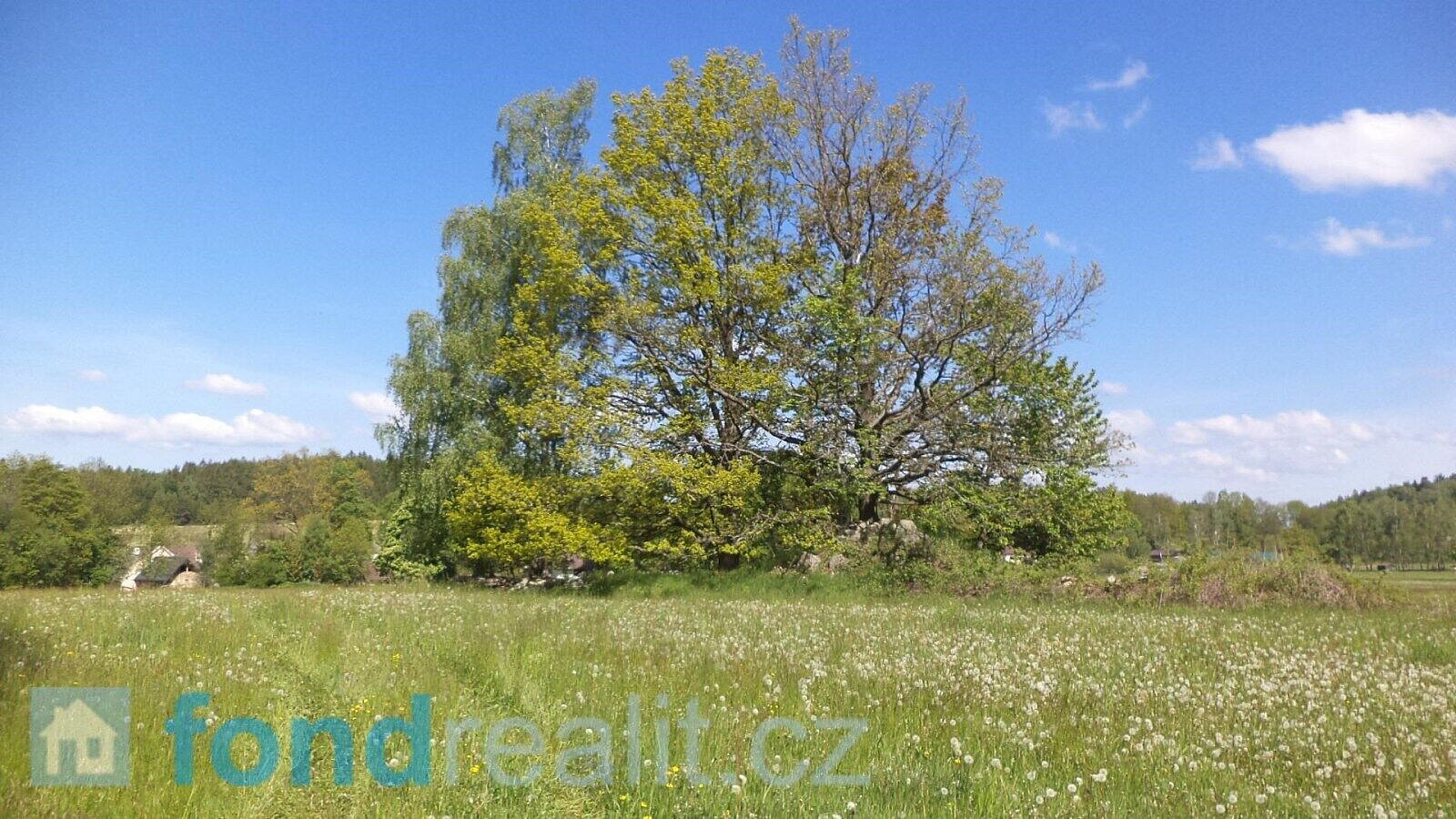 Prodej pozemku 319 m²