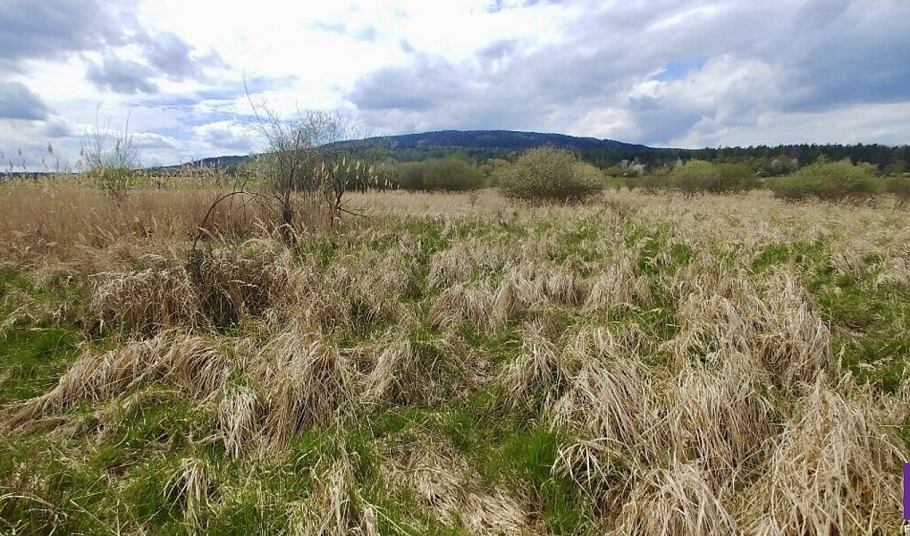 Prodej pole 6 487 m², Hostomice – náhled fotky 4