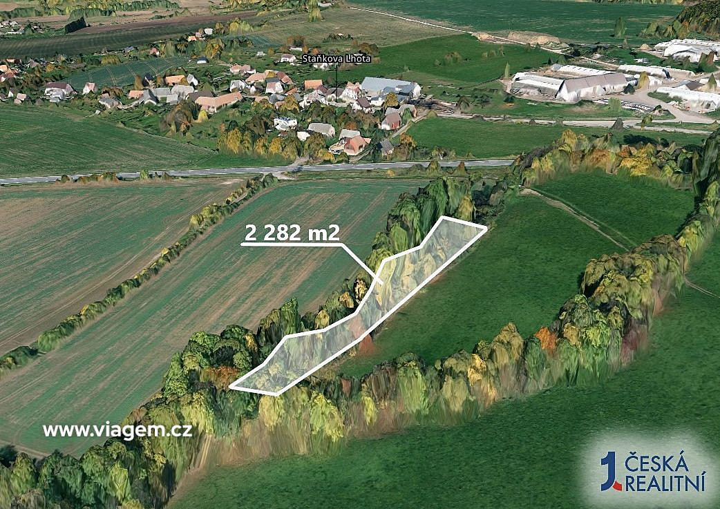 Prodej lesa 1 141 m² – fotografie 2
