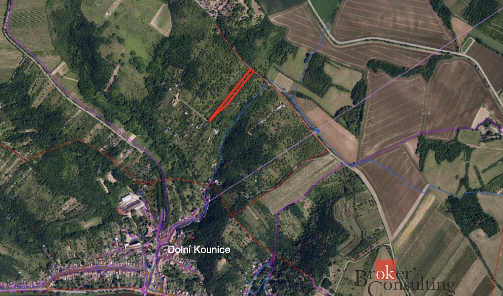Prodej zahrady 4 535 m², Dolní Kounice – náhled fotky 2