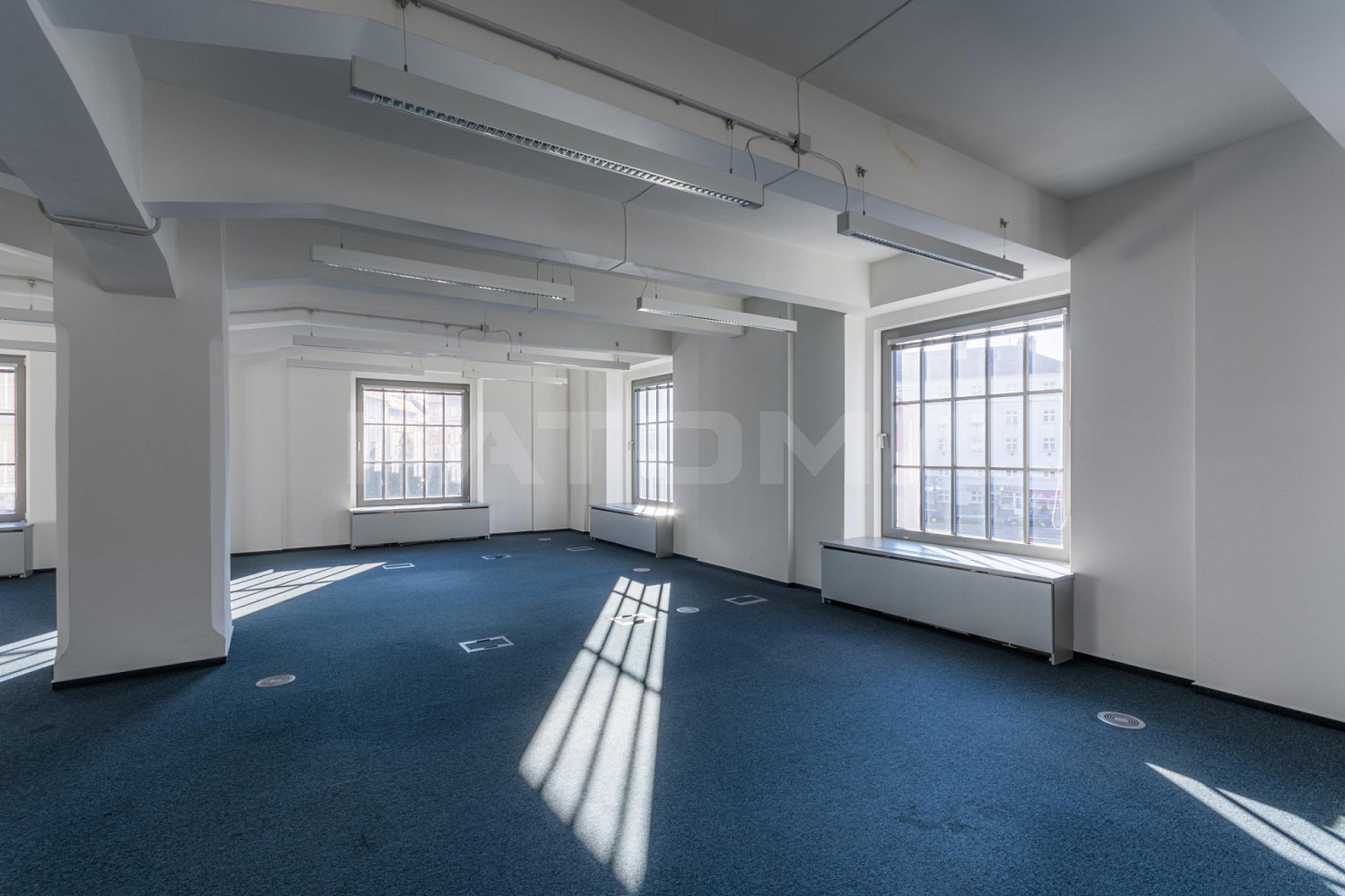 Fotka 5 z 13