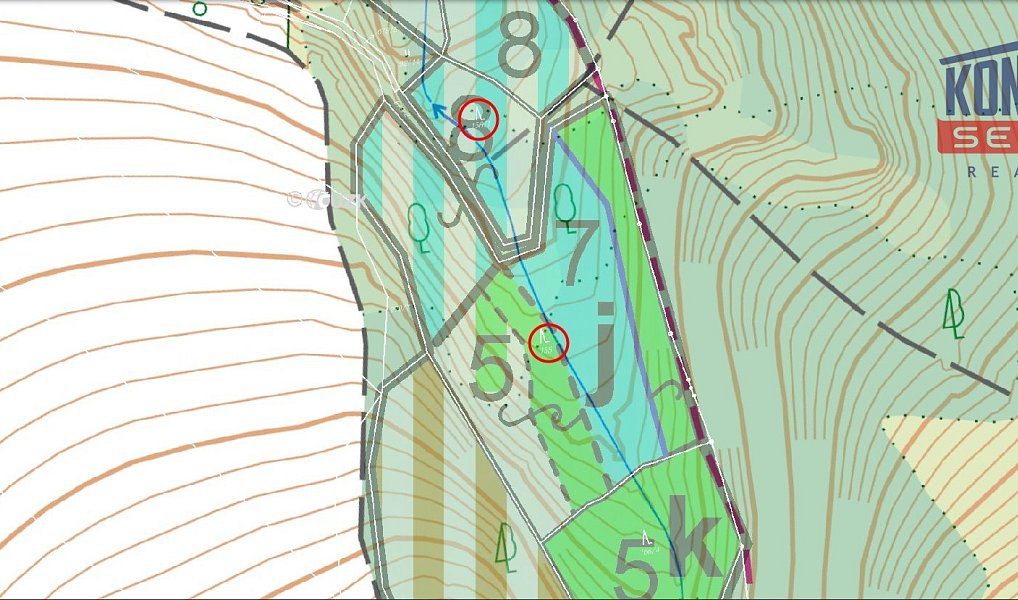 Prodej lesa 23 812 m², Bečice – náhled fotky 6