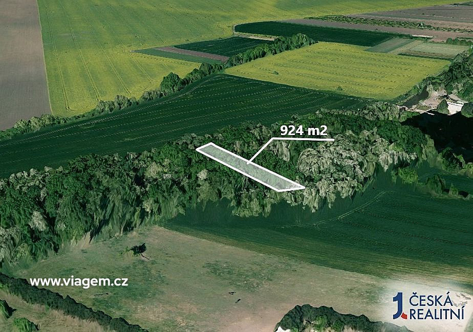 Prodej lesa 462 m² – fotografie 2