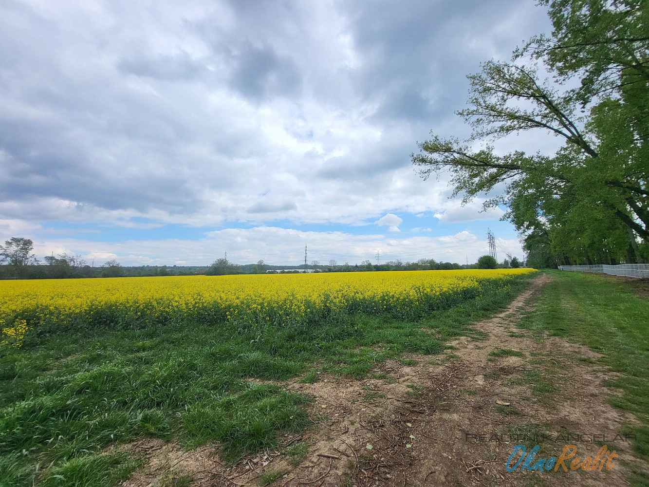 Prodej komerčního pozemku 2 784 m² – fotografie 3
