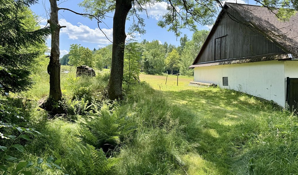 Prodej chaty/chalupy 200 m² s pozemkem 11 151 m², Sněžné – náhled fotky 22