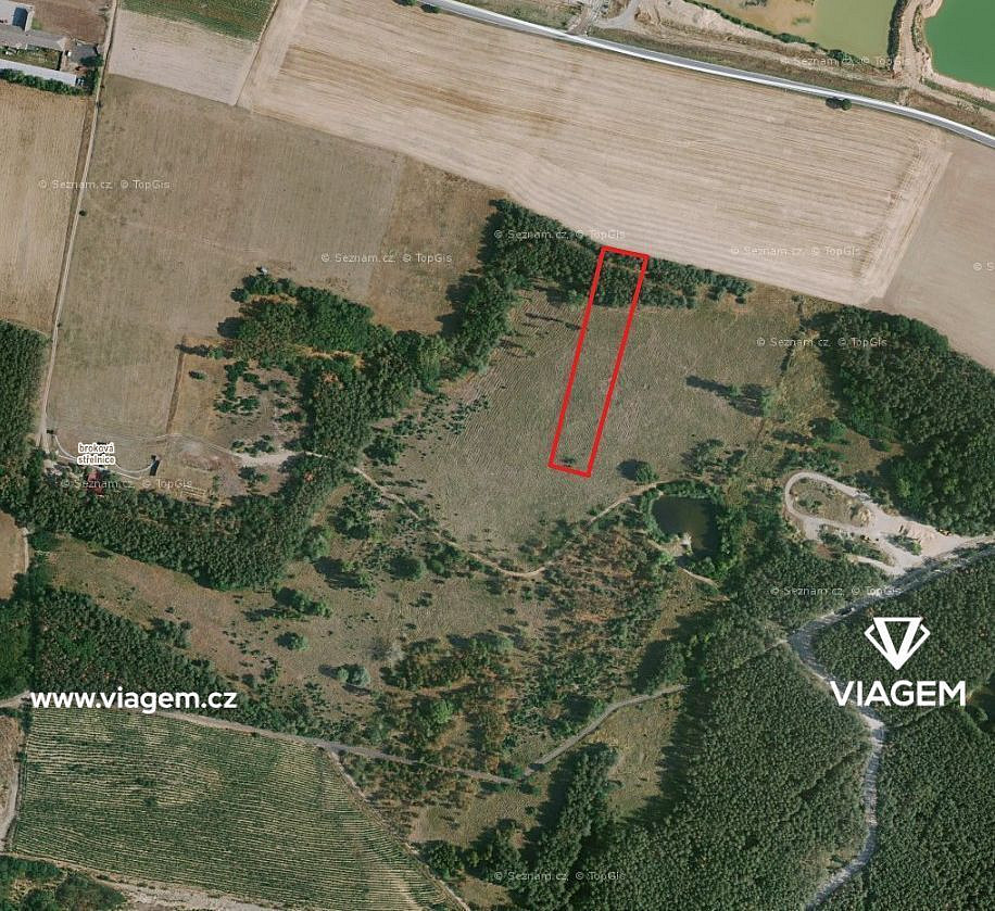 Prodej lesa 1 044 m²
