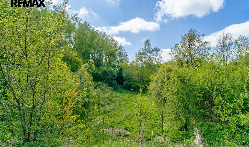 Prodej komerčního pozemku 28 310 m², Střítež – náhled fotky 23