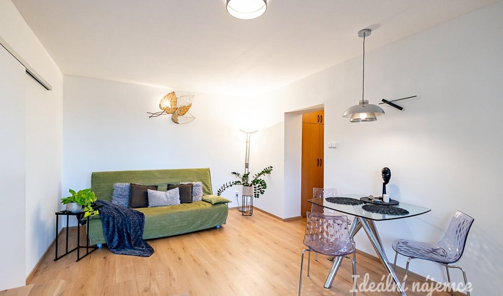 Pronájem bytu 2+1 49 m², Praha – náhled fotky 7