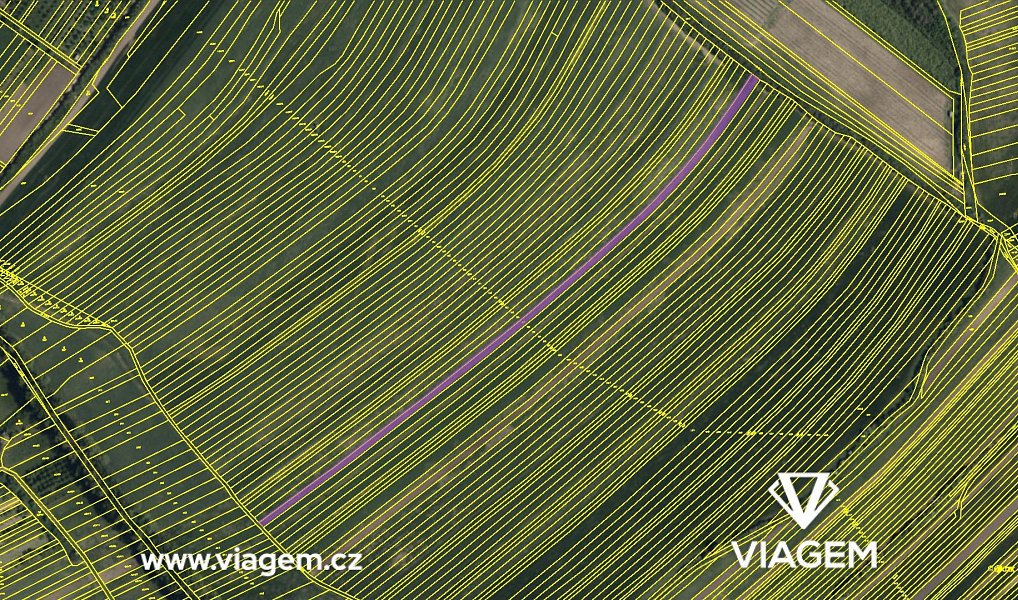 Prodej pole 2 418 m², Hrubá Vrbka – náhled fotky 4