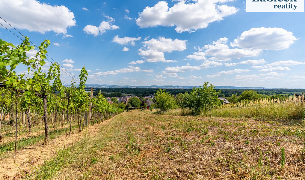 Prodej stavebního pozemku 2 654 m², Bzenec – náhled fotky 13