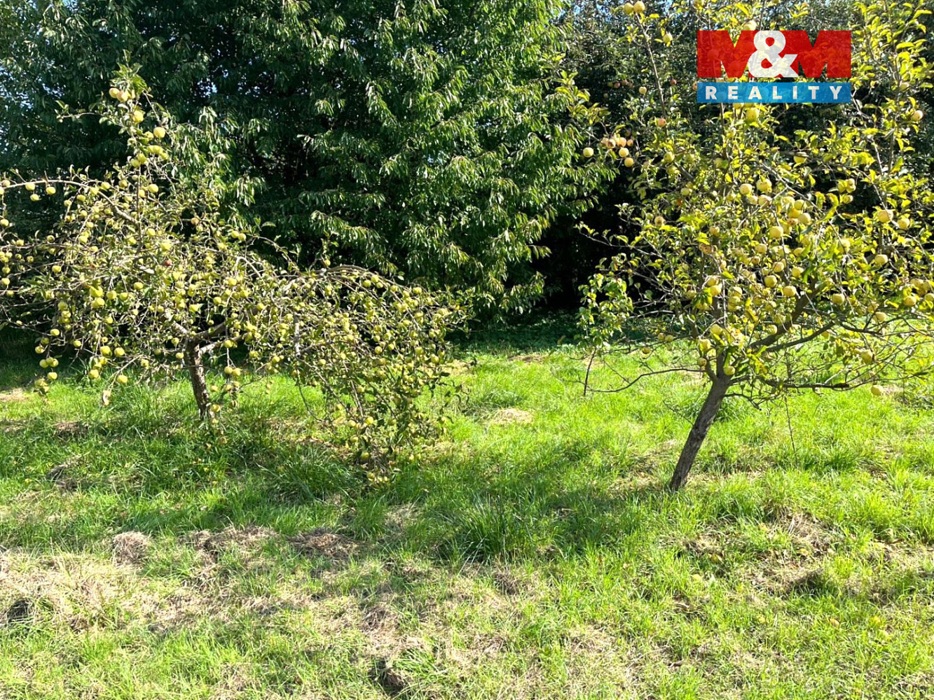 Prodej zahrady 2 676 m² – pohled 3