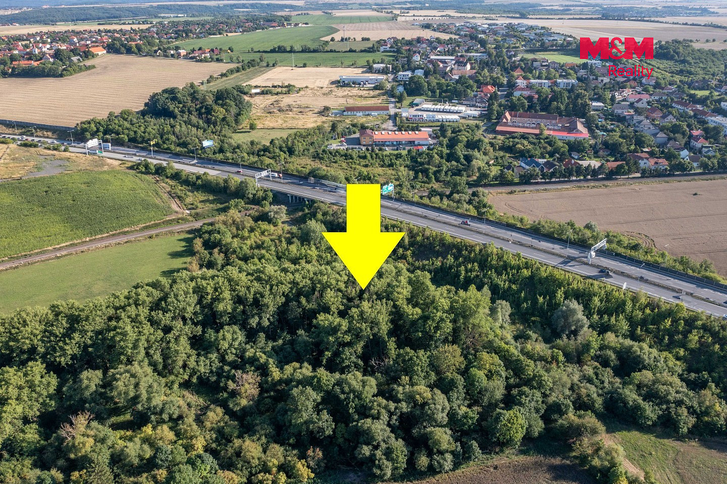 Prodej lesa 8 894 m² – fotografie 5