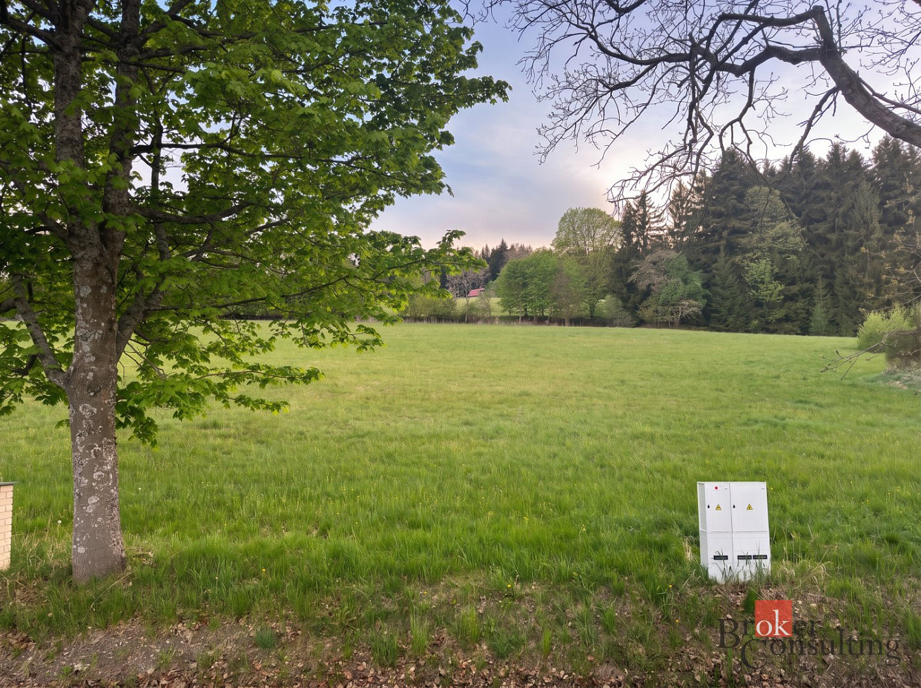 Prodej stavebního pozemku 2 133 m² – fotografie 5
