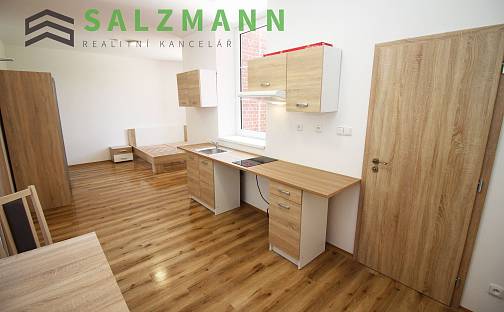 Prodej bytu 1+kk 30 m², Bublava, okres Sokolov