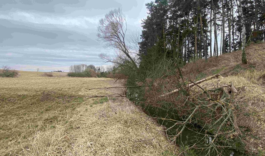 Dražba louky, 670 m², Jindřichův Hradec, Peč