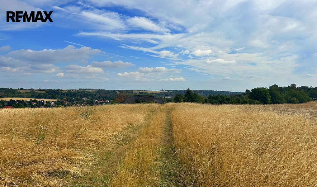 Prodej zahrady 1 914 m², Rynholec – náhled fotky 5