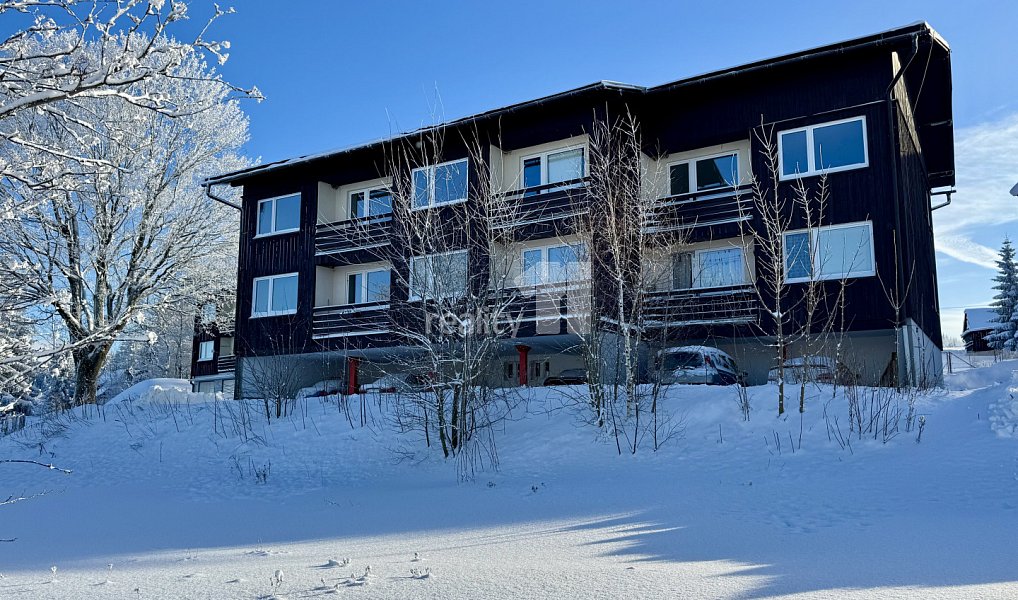 Prodej komerčního objektu (jiného typu) 500 m², Kořenov – náhled fotky 2