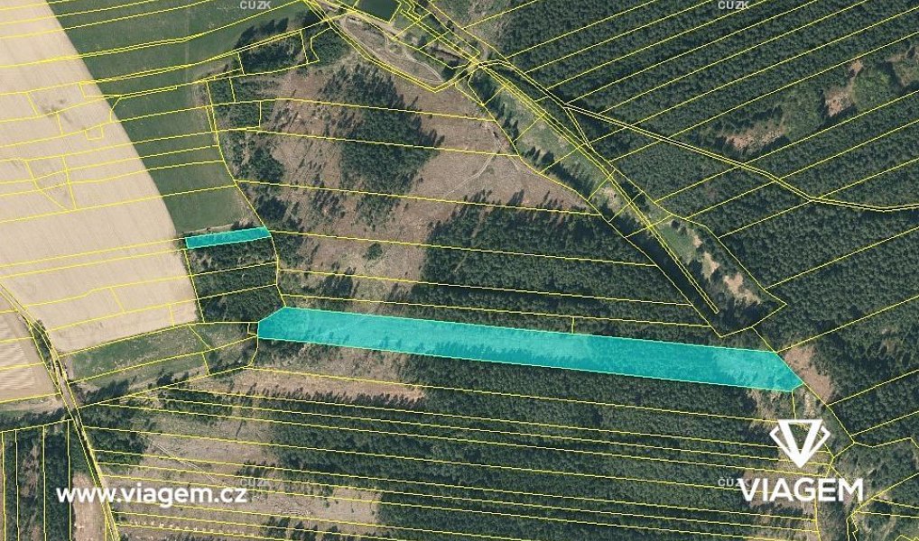 Prodej lesa 21 469 m², Chrbonín – náhled fotky 3