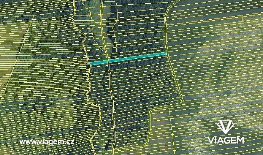 Prodej lesa 1 362 m², Hradčovice – náhled fotky 3
