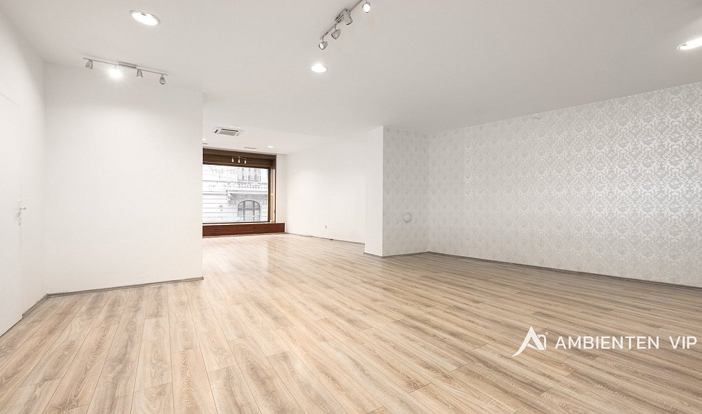 Prodej obchodních prostor 494 m², Brno – náhled fotky 33