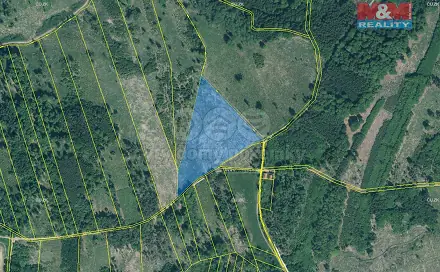 Prodej lesa 29 198 m², Jetětice, okres Písek