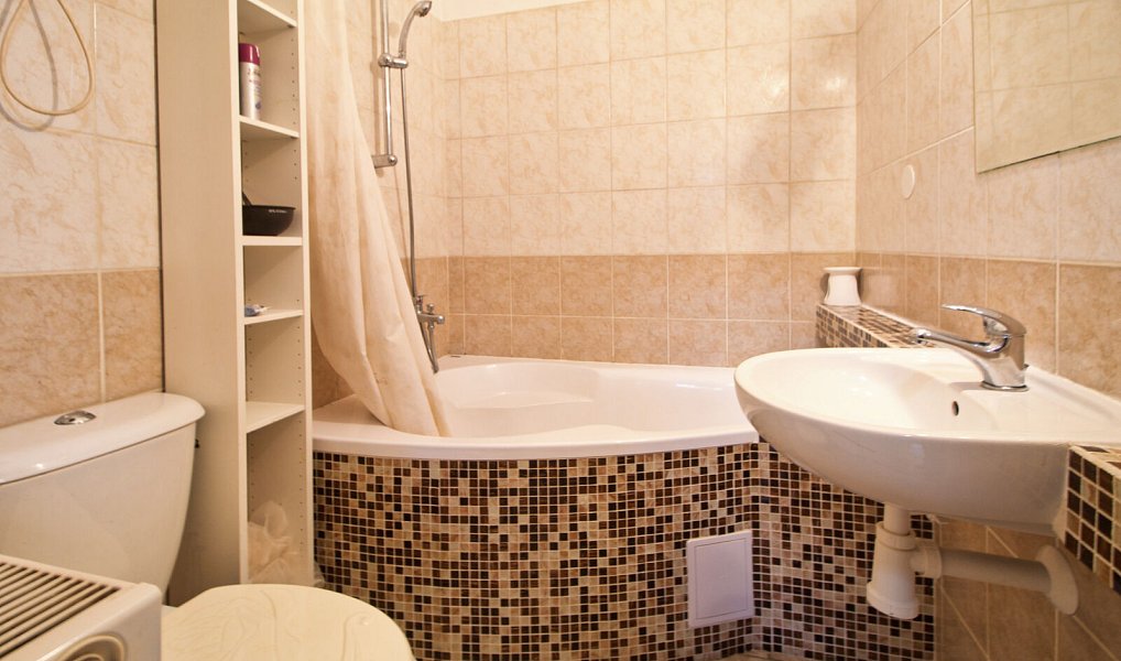 Pronájem bytu 2+kk 42 m², Líně – náhled fotky 2