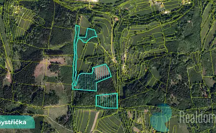 Prodej lesa 16 784 m², Bystřička, okres Vsetín