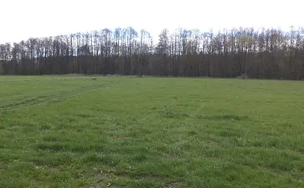 Prodej pole 2 609 m², Tachov