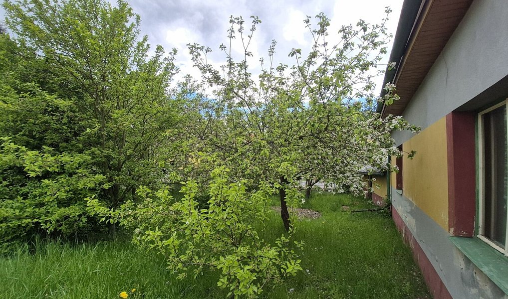 Prodej domu 269 m² s pozemkem 721 m², Rohozná – náhled fotky 10
