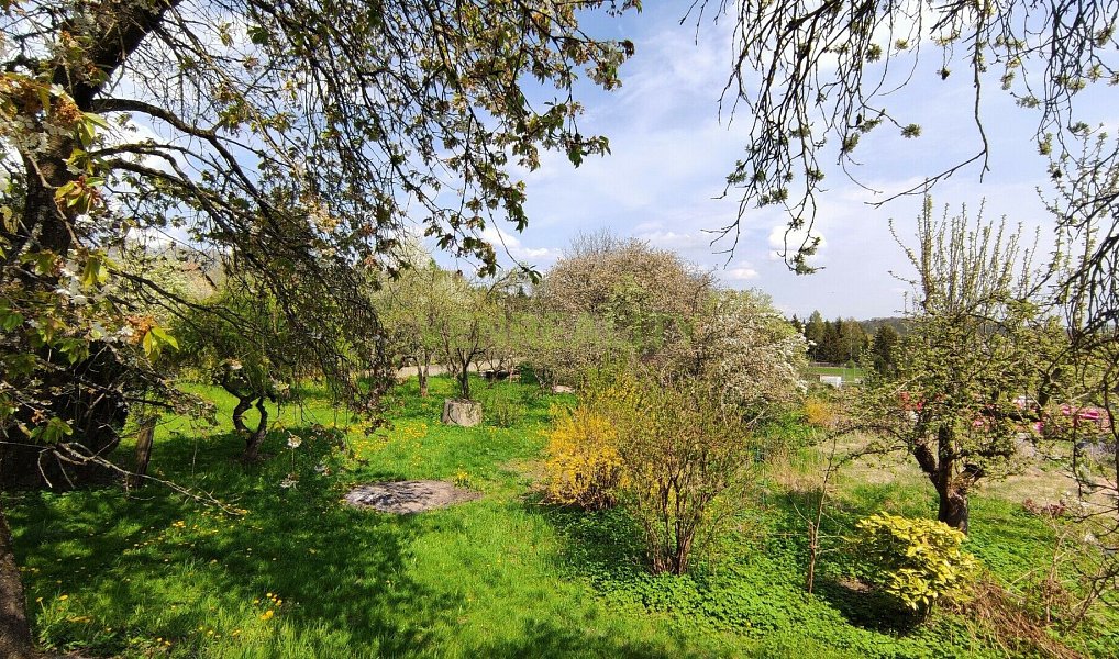 Prodej stavebního pozemku 1 872 m², Pyšely – náhled fotky 2