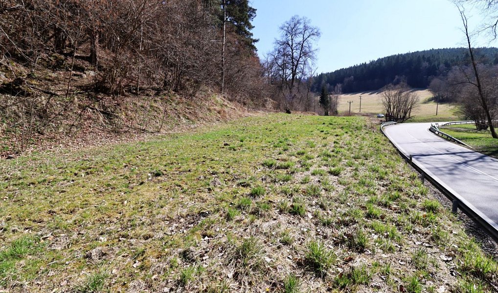 Prodej stavebního pozemku 2 063 m², Dlouhá Ves – náhled fotky 8