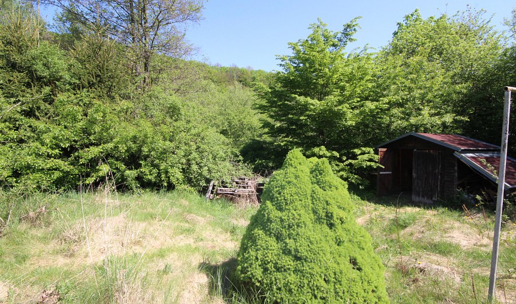 Prodej chaty/chalupy 59 m² s pozemkem 592 m², Sázava – náhled fotky 4