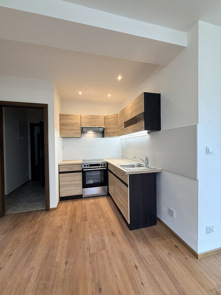 Pronájem bytu 3+kk 48 m² — photo 4