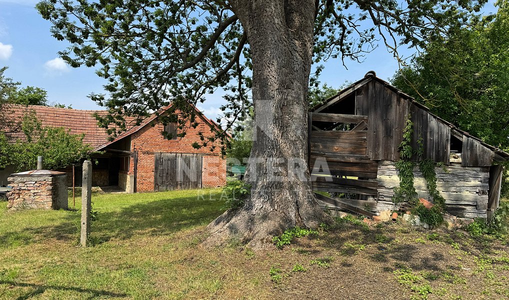 Prodej domu 90 m² s pozemkem 4 430 m², Chotěšice – náhled fotky 10