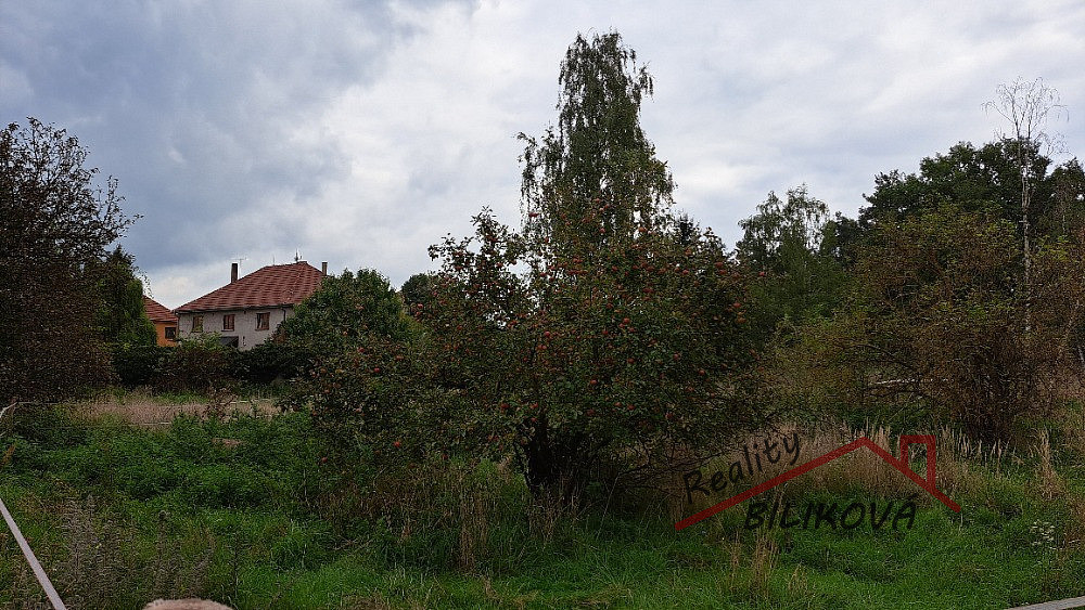 Prodej stavebního pozemku 1 001 m² – fotografie 4