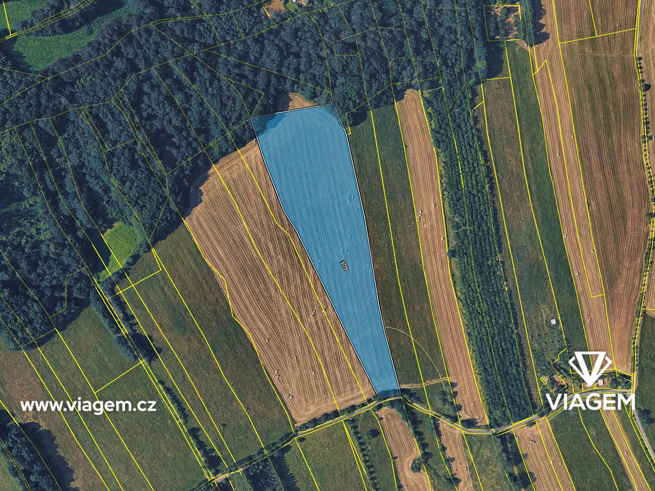 Prodej pole 1 337 m² – fotografie 4