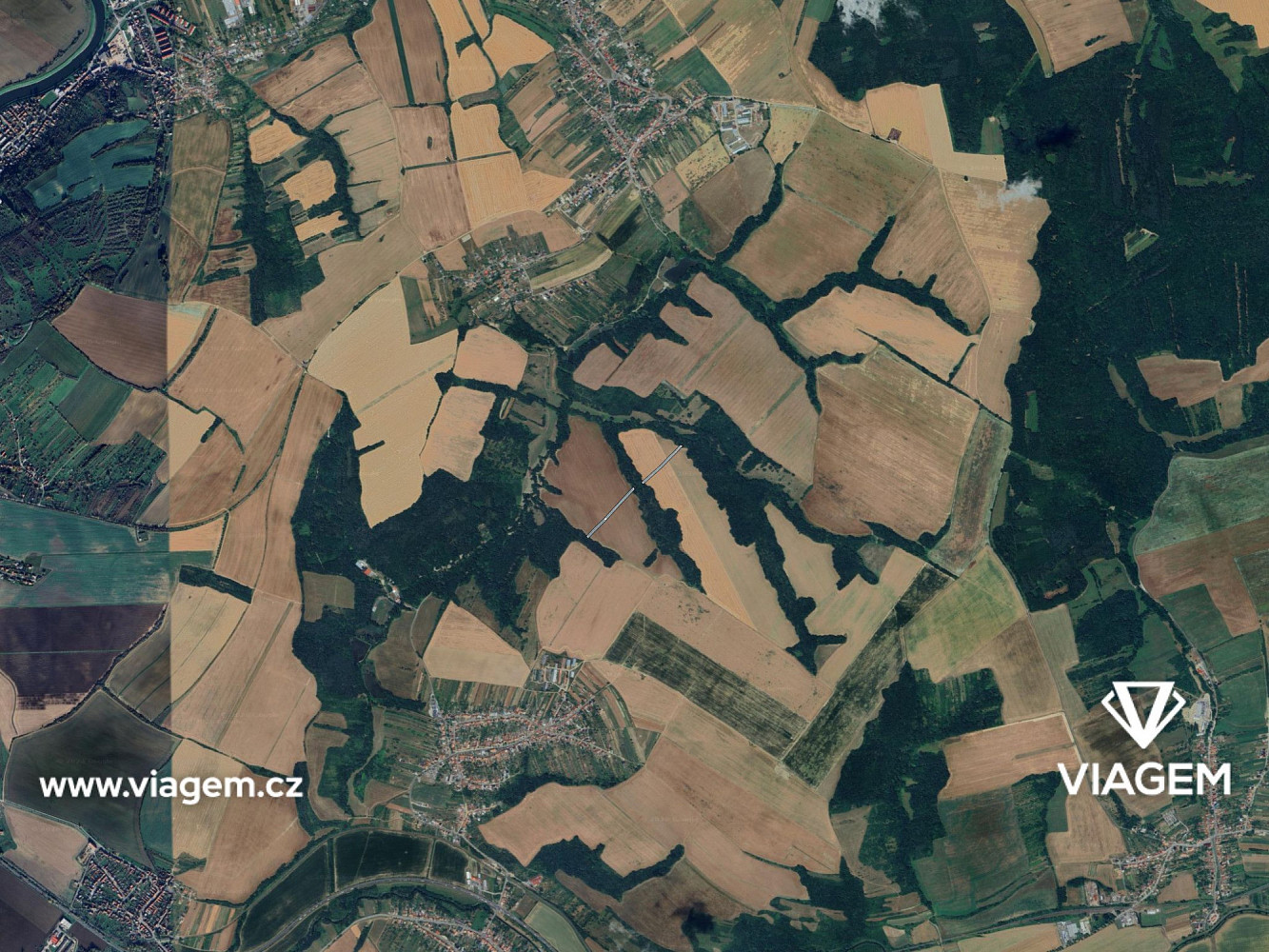 Prodej pole 1 639 m² – fotografie 3
