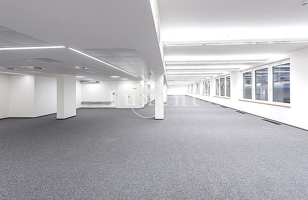 Pronájem kanceláře 460 m² – fotografie 5