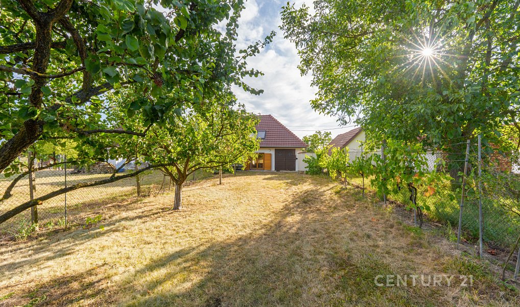 Vinný sklep 83m2, pozemky 8.420m2, Blatnice pod Svatým Antonínkem, Blatnice pod Svatým Antonínkem – náhled fotky 15