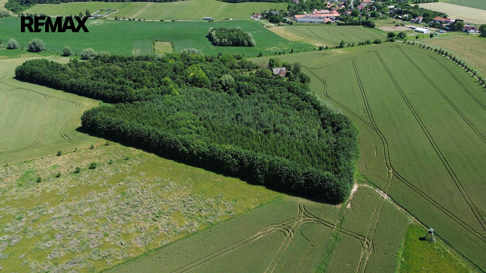 Prodej lesa 9 186 m² – fotografie 5