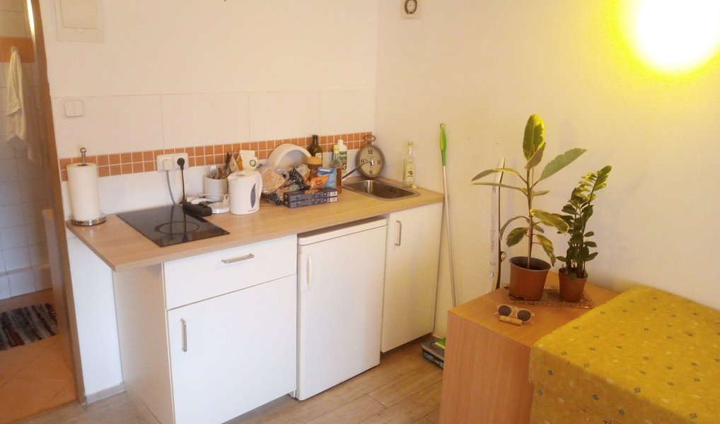 Pronájem bytu 1+kk 25 m², Praha – náhled fotky 6
