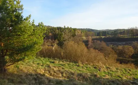 Prodej stavebního pozemku 3 528 m², Uhřínov, okres Žďár nad Sázavou