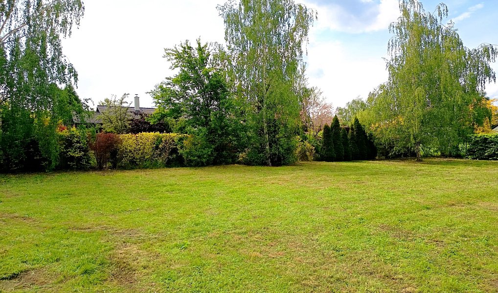 Prodej stavebního pozemku 1 286 m², Lázně Toušeň – náhled fotky 5